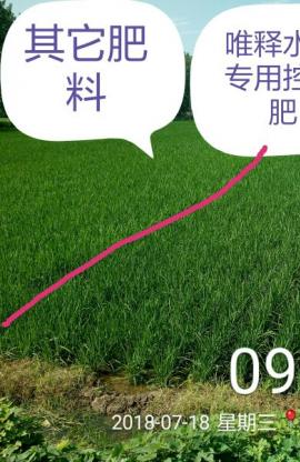風吹稻花香，小唯來下鄉(xiāng)