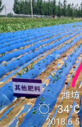 同樣是九年義務(wù)教育，為何你如此優(yōu)秀？