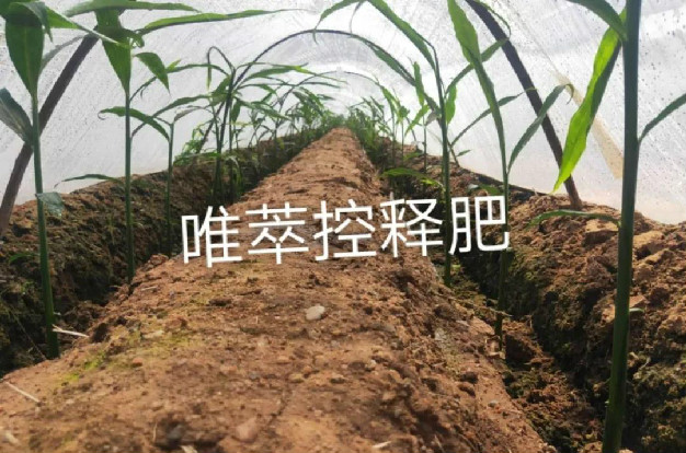 唯萃，一款能真正聽懂作物的控釋肥，全面解決作物生長所需的多種營養(yǎng)